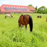 Soemmerland, Exklusive 4-sterne-fewo Von 2024, Sonnenterrasse, 150 M Zur Nordsee, Eigener Zugang Lejlighed *