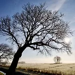Lejlighed Soemmerland, Exklusive 4-sterne-fewo Von 2024, Sonnenterrasse, 150 M Zur Nordsee, Eigener Zugang *