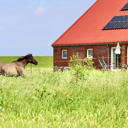 Apartment Sömmerland, Exklusive 4-sterne-fewo Von 2024, Sonnenterrasse, 150 M Zur Nordsee, Eigener Zugang *