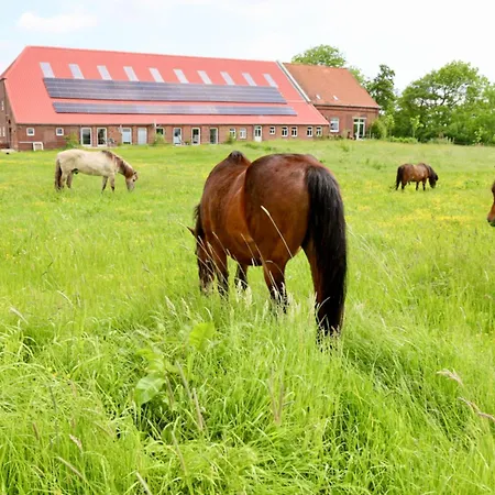 Sömmerland, Exklusive 4-sterne-fewo Von 2024, Sonnenterrasse, 150 M Zur Nordsee, Eigener Zugang Apartment *