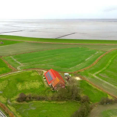 Sömmerland, Exklusive 4-sterne-fewo Von 2024, Sonnenterrasse, 150 M Zur Nordsee, Eigener Zugang * Neuharlingersiel